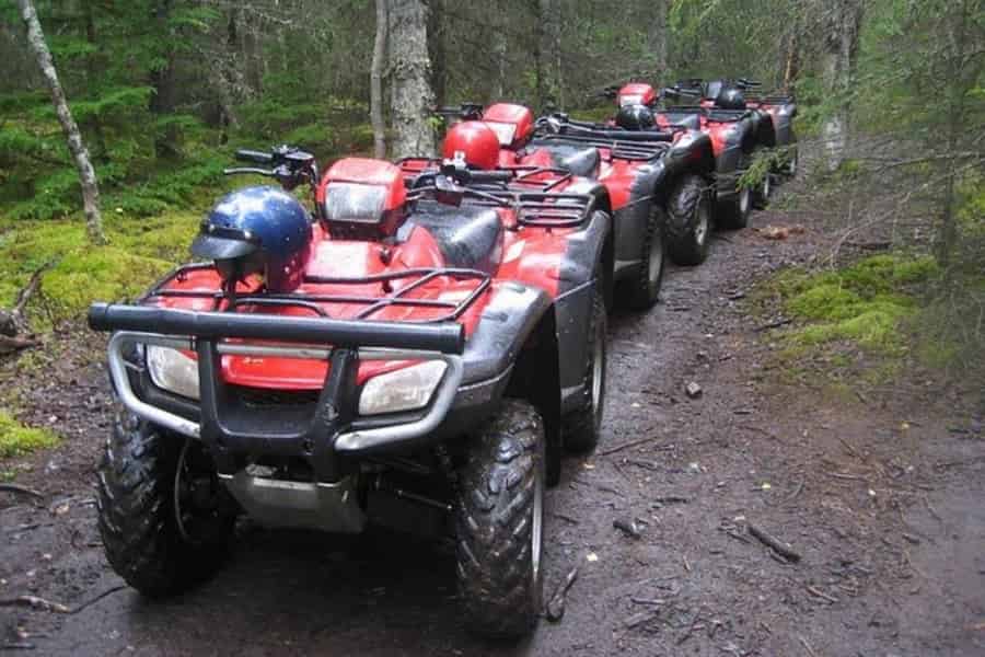 Bird Creek: Chugach State Park ATV-Naturtour & Wanderung. Foto: GetYourGuide