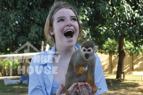 Monkey House VIP – Your Exclusive Punta Cana Experience Monkey House VIP – An exclusive experience in Punta Cana