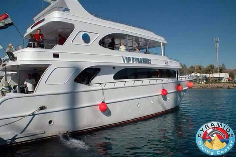 From Sharm El-Sheikh: Ras Mohamed Stingray Station Boat Trip