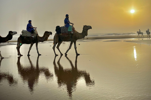 Essaouira: Sunset Camel Ride with khalid