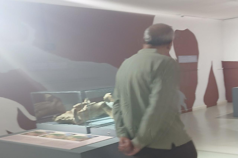 Addis Ababa: National Museum Guided Tour with Lucy Fossil