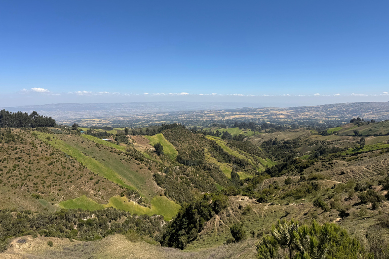 Addis Ababa: 8-Day Omo Valley and Lake Tana Tour