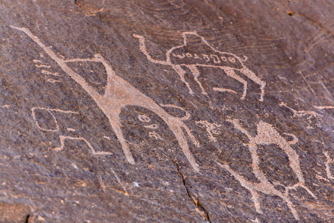 Wadi Rum: Excursión en Jeep 4x4 6h con puesta de sol y con pernoctación