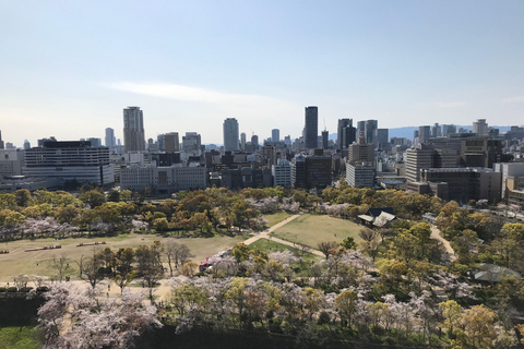 Osaka Classic Private Tour by Subway