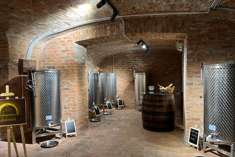 第比利斯：葡萄酒品鉴，佐格鲁吉亚小吃，侍酒师陪同