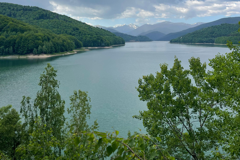 Bucarest: Excursión de un día por la carretera Top Gear y los osos pardos