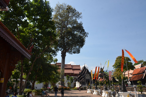 Chiang Mai : visite à pied des hauts lieux historiques et culturelsChiang Mai : Visite à pied des hauts lieux historiques et culturels