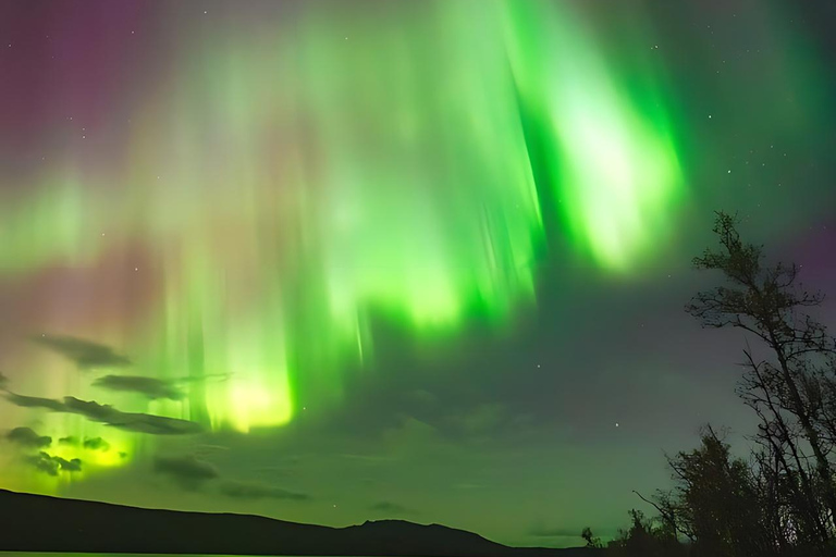 Celebration of Christmas: From Kiruna to Abisko