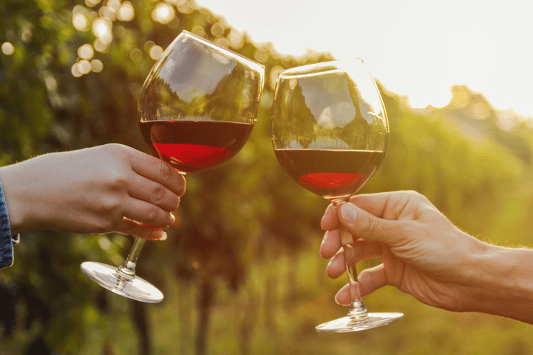 Visite privée de luxe : Sites antiques de Némée et dégustation de vin