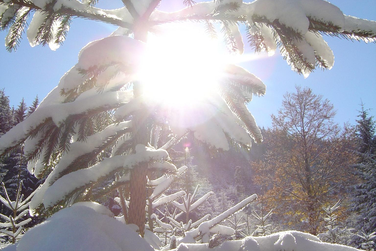 Caminhada com raquetes de neve em Allgäu