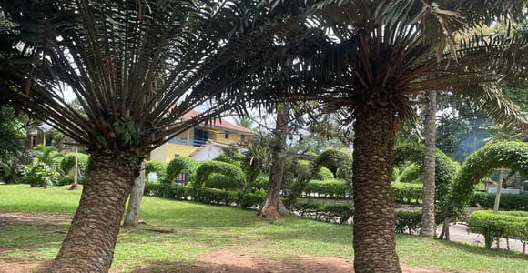 Accra: Batik & Tie-Dye Fabric Workshop