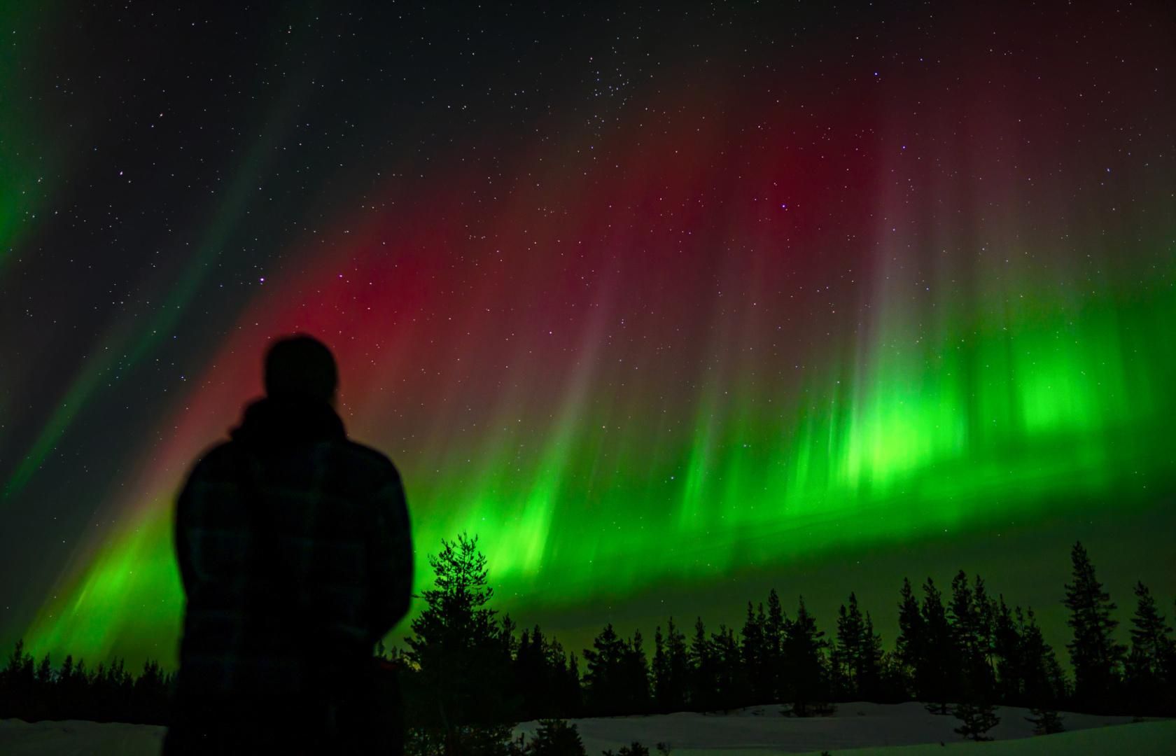 Rovaniemi: Nordlichter-Jagd mit 95 % Erfolgsquote, Gruppe mit 4 Personen