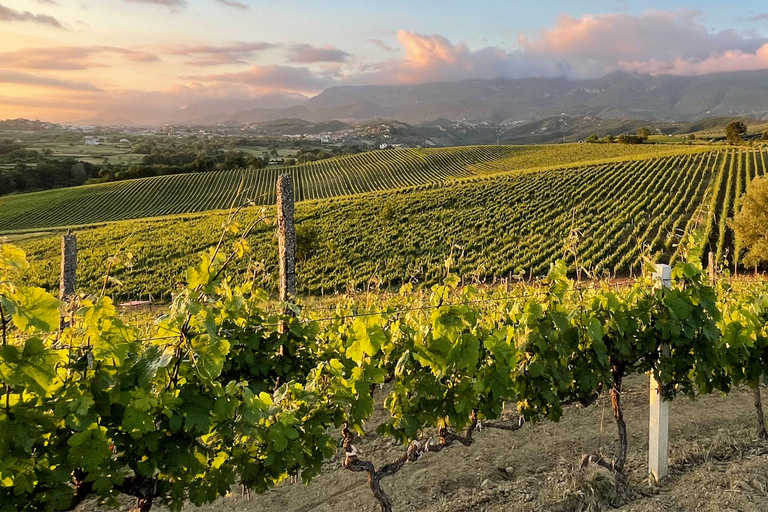 TUFA Winery Tour and Albanias Authentic Wines Tasting