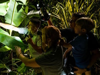 Uvita, tour notturno della natura e della fauna selvatica nella foresta tropicale - Hizvo