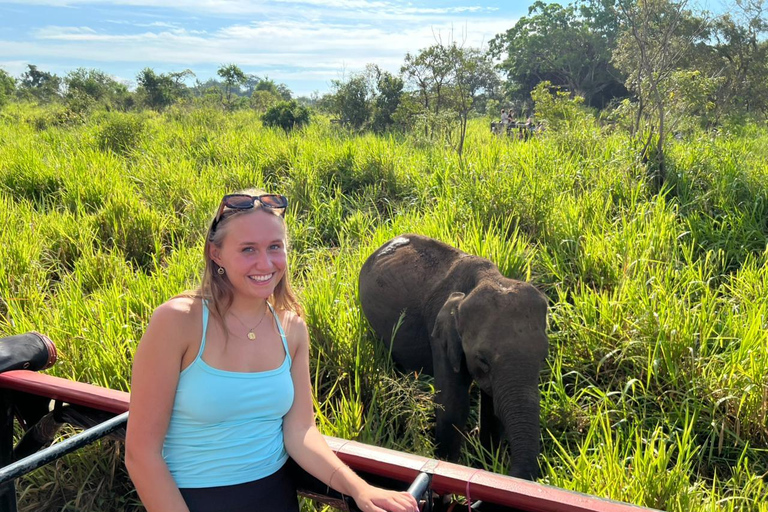 Wild Elephant Safari Tour Minneriya, Kaudulla & Hurulu ECO Start from Dambulla