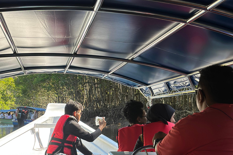 Tanjung Rhu Private Mangrove Tour 2 Hours