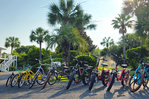 Isle of Palms: Electric Bike Rental 1 person bike - 48h