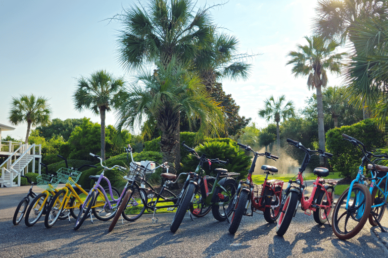 Isle of Palms: Electric Bike Rental 2 Person bike - 2h