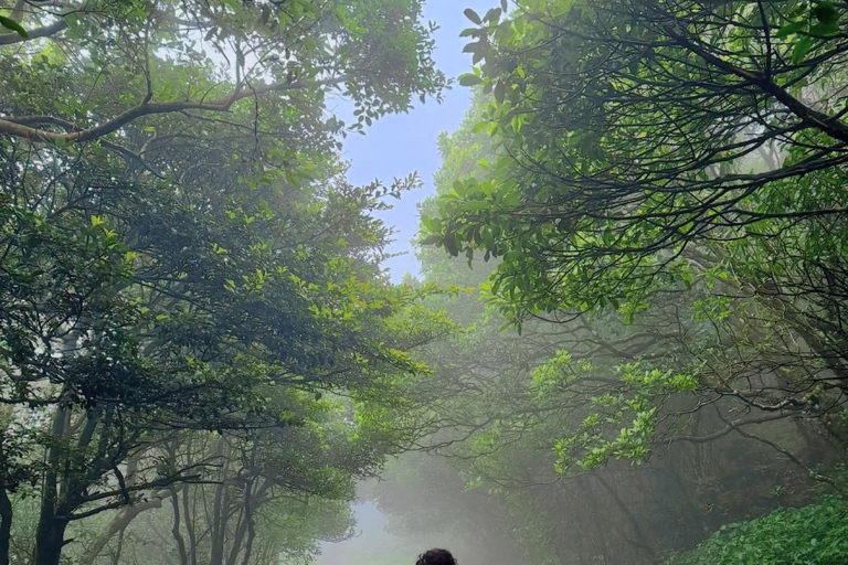 Mathale/Kandy: Riverston Peak Tour with Transfers