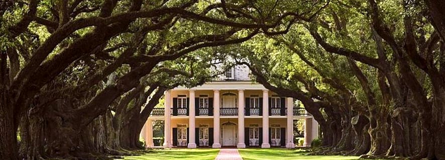 New Orleans: Swamp Boat Ride and Oak Alley Plantation Tour