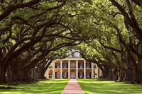 New Orleans, Swamp Boat Ride e Historic Plantation Tour - Housity