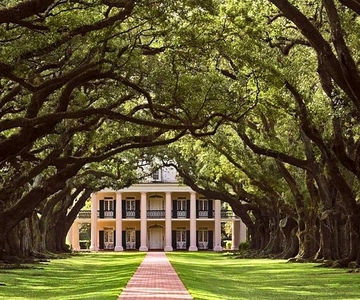 New Orleans: Swamp Boat Ride and Historic Plantation Tour
