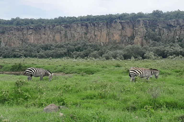 Excursão de um dia ao Parque Nacional Hells Gate e ao Lago Naivasha