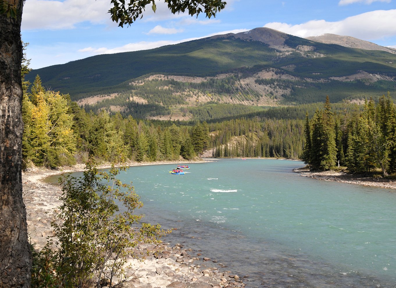 Athabasca Falls: Klasse 2 White Water Rafting-eventyr