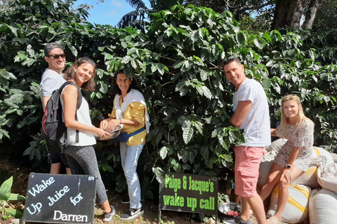 Boquete: Hands-On Coffee Experience with Tasting