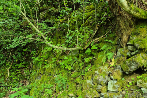 From Batumi: Machakhela National Park Guided Hike