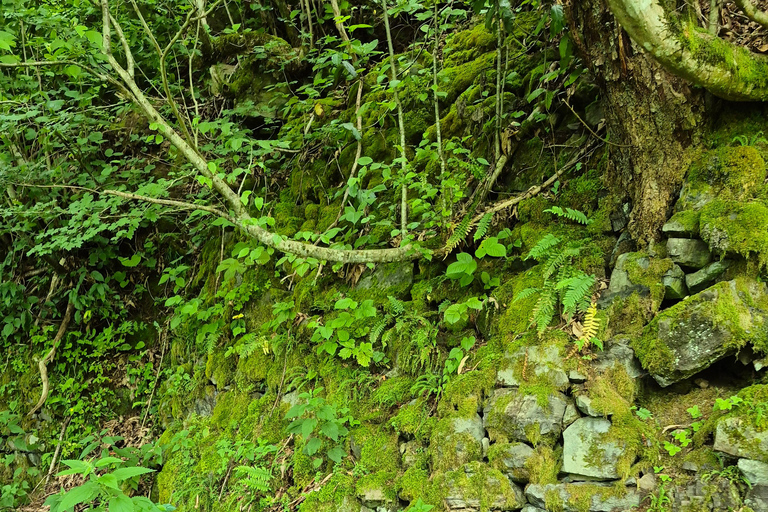 From Batumi: Machakhela National Park Guided Hike