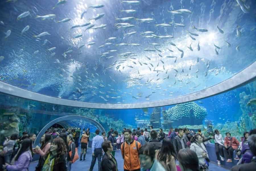Nha Trang: Erkunde die Stadt Nha Trang auf einer Halbtagestour. Foto: GetYourGuide