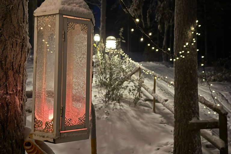 Private Traditional Sauna, Ice Dip and Dinner in the Wild