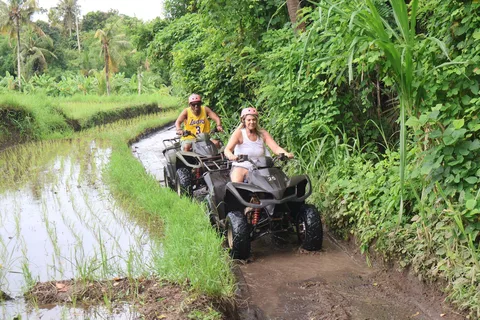Ubud: Excursión por la jungla en quad con almuerzo