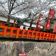 Kyoto: Kyoto Flexible Private Tour By Fluent English Driver