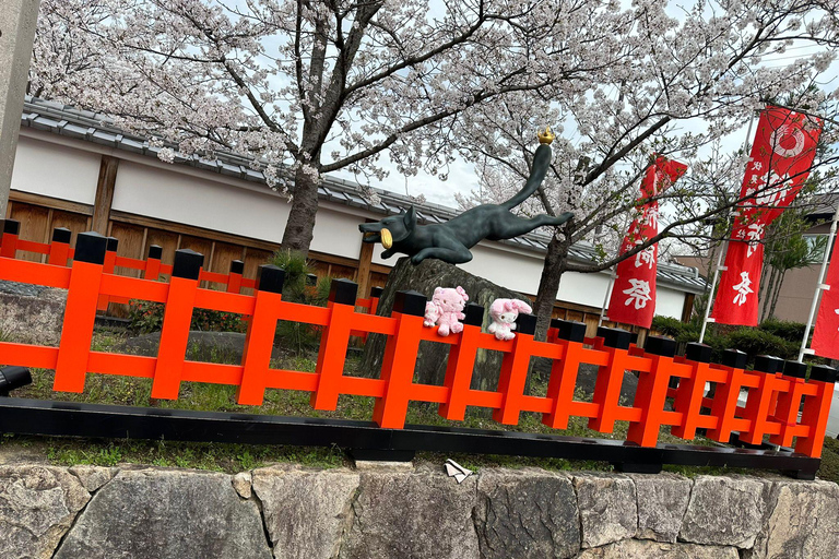 Kyoto : Visite privée flexible de Kyoto avec chauffeur parlant couramment l'anglais