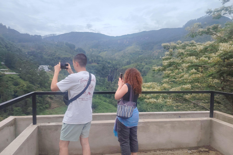From Kandy: Nuwara Eliya Private Day Trip with Tea Factory