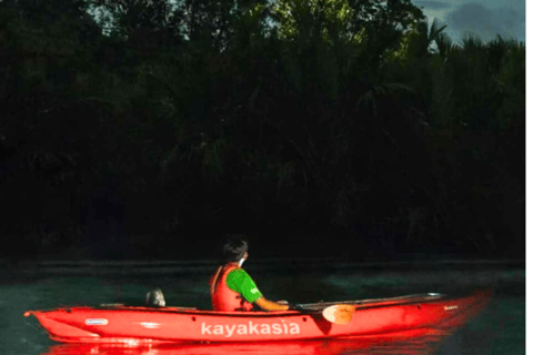 Bohol: SUSTAINABLE Mangrove Tunnels & Firefly Kayaking trail