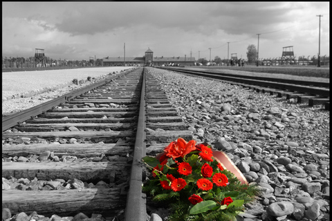 Krakow: Auschwitz-Birkenau Best Quality Guided Tour & Pickup Guided tour with Hotel Pickup