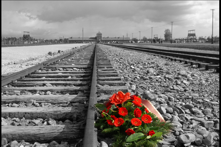 Krakow: Auschwitz-Birkenau Best Quality Guided Tour & Pickup Guided tour with Hotel Pickup