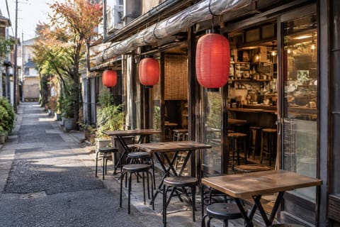 Tokyo: English Rakugo Private Show & Asakusa Backstreets