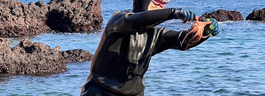 Depuis Jeju : excursion vers les sites classés par l'UNESCO