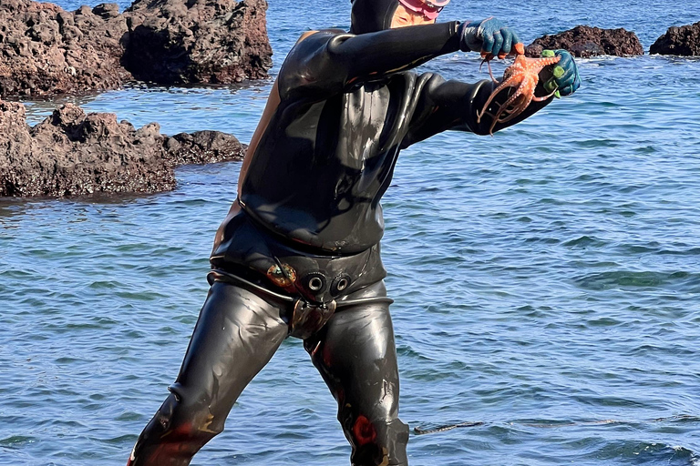 Desde Jeju: excursión a sitios de la UNESCO