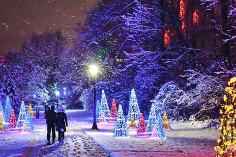 Niagara Falls Winter Festival of Lights Tour