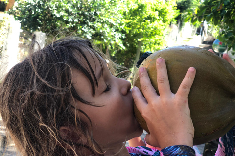 Guadeloupe:half Day on catamaran les Saintes, terre de haut