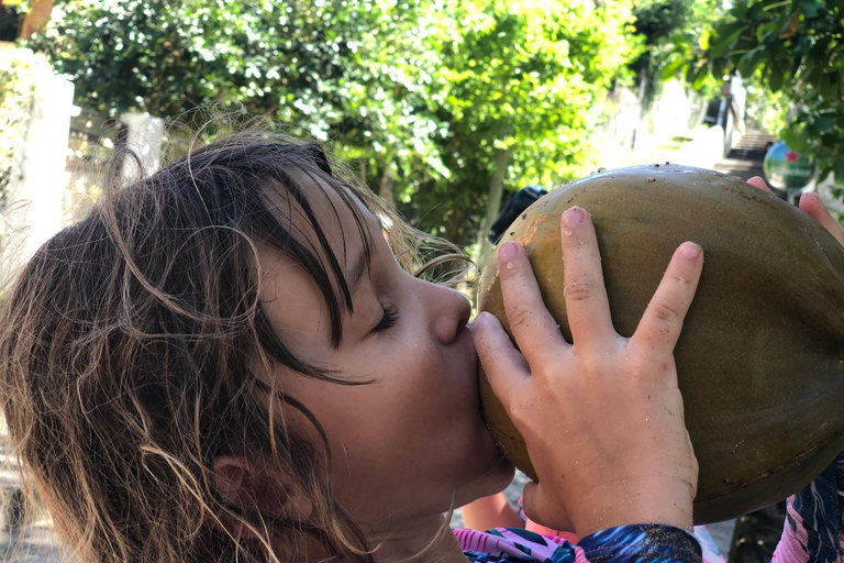 Guadeloupe:half Day on catamaran les Saintes, terre de haut