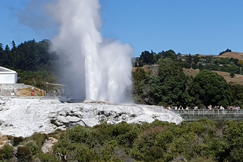 Tauranga: Rotorua Redwoods Tour & Maori Village Experience