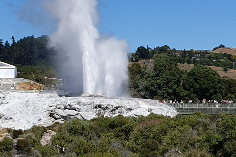 Tauranga: Rotorua Redwoods Tour & Maori Village Experience