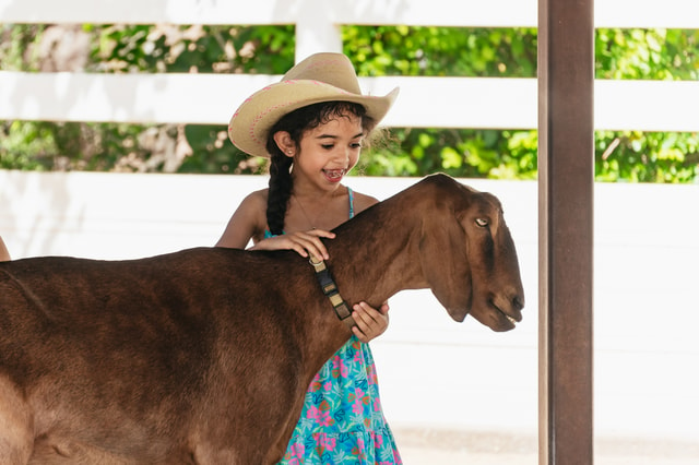 Phoenix Zoo: One Day General Admission Ticket