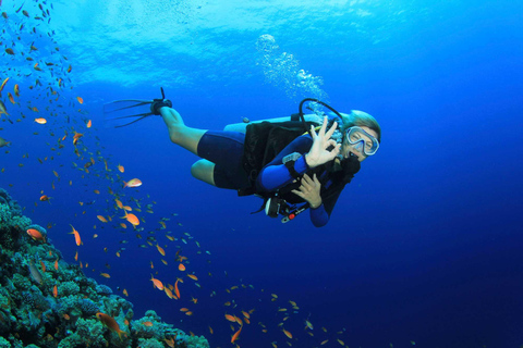 Kemer Scuba Diving med expertdykning som tillvalDykning i Kemer med transfer och lunch